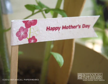 DIY Mother's Day Free Printable Download Seed Paper